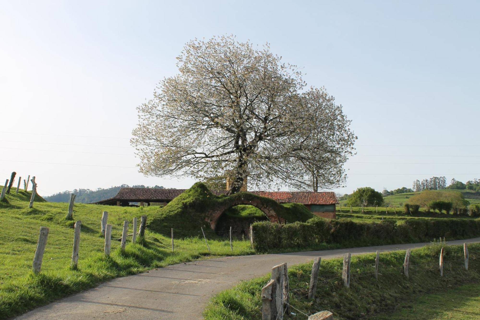 Casa De Aldea Monga 9 En Nava, Asturias Villa Екстериор снимка